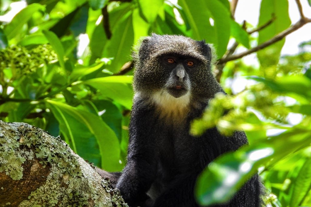 Arusha National Park