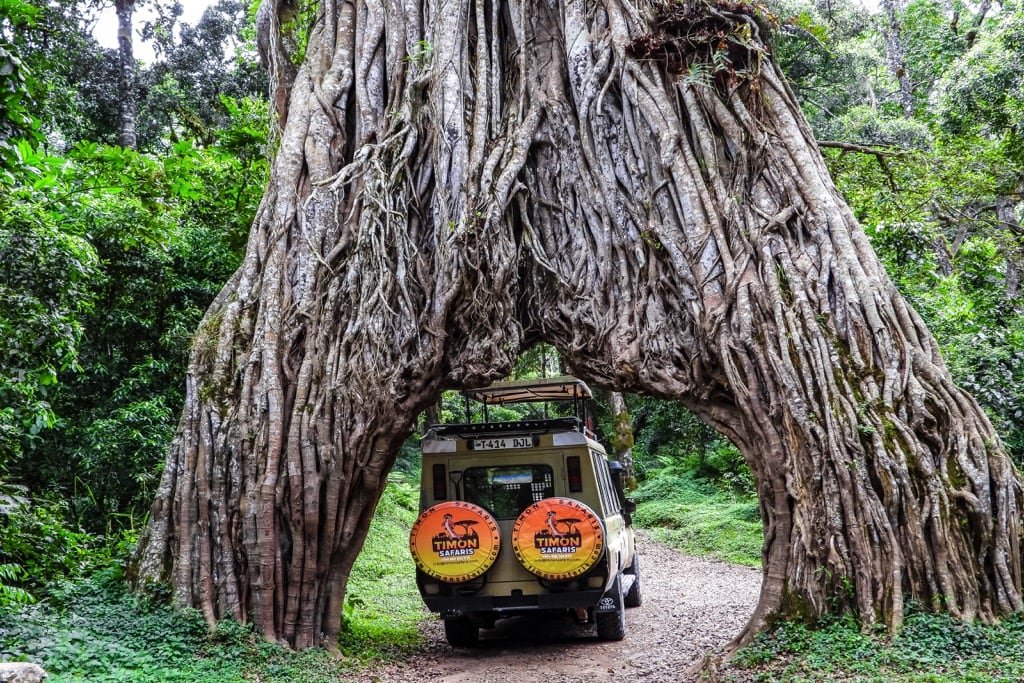 Arusha National Park