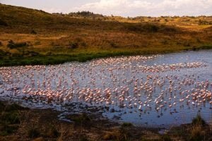 Arusha National Park