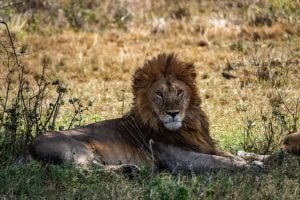 Serengeti National Park