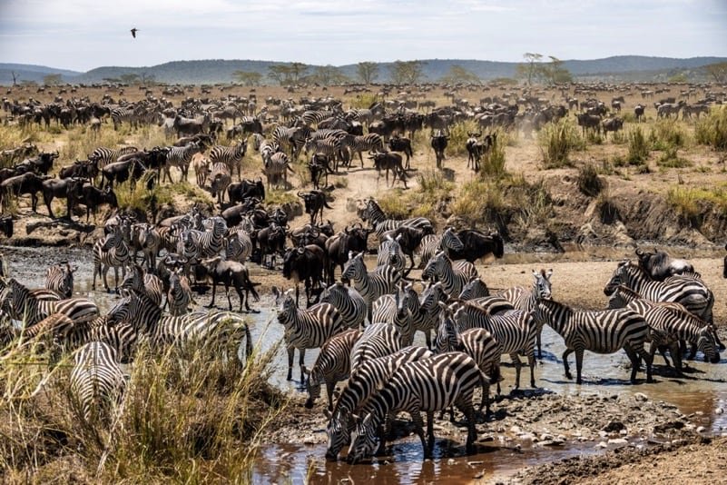 Serengeti National Park