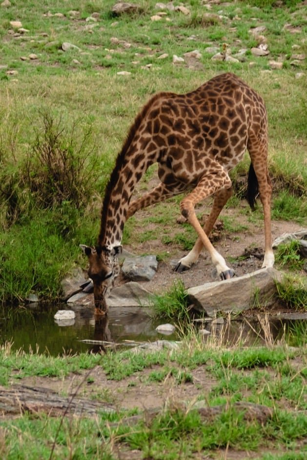 Serengeti National Park