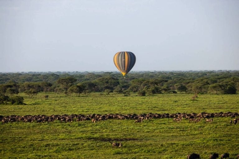 Hot Air Balloon Safari, Safari en Montgolfière