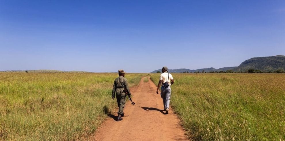Walking Safari, Safari à Pied
