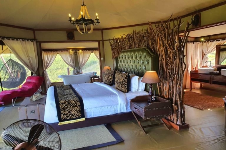 Tarangire Kuro Treetops Lodge