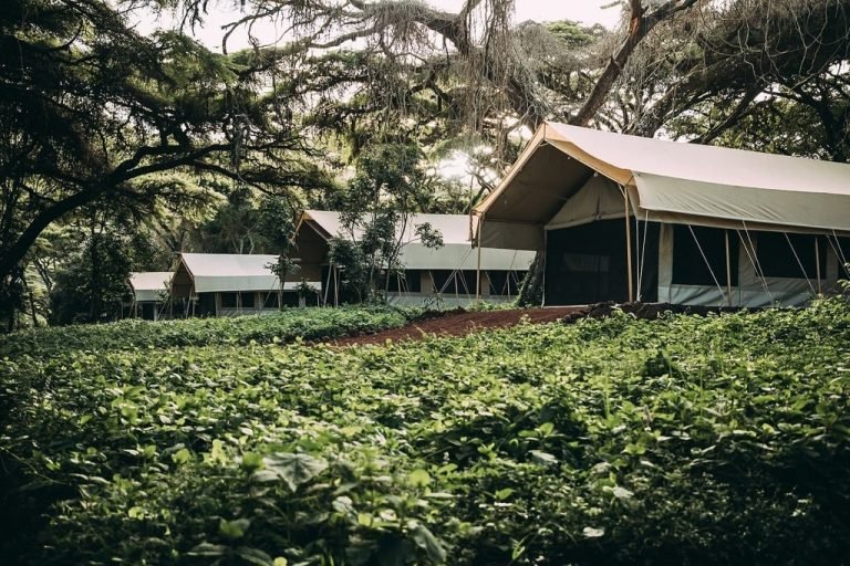 Ngorongoro Tortilis Camp