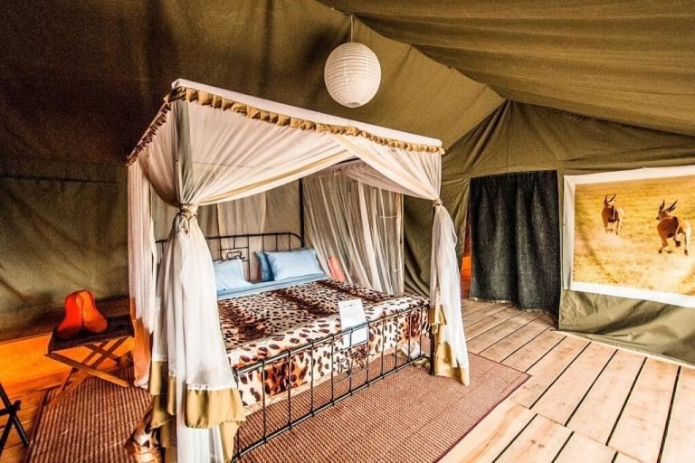 Ang'ata Migration Ndutu Camp