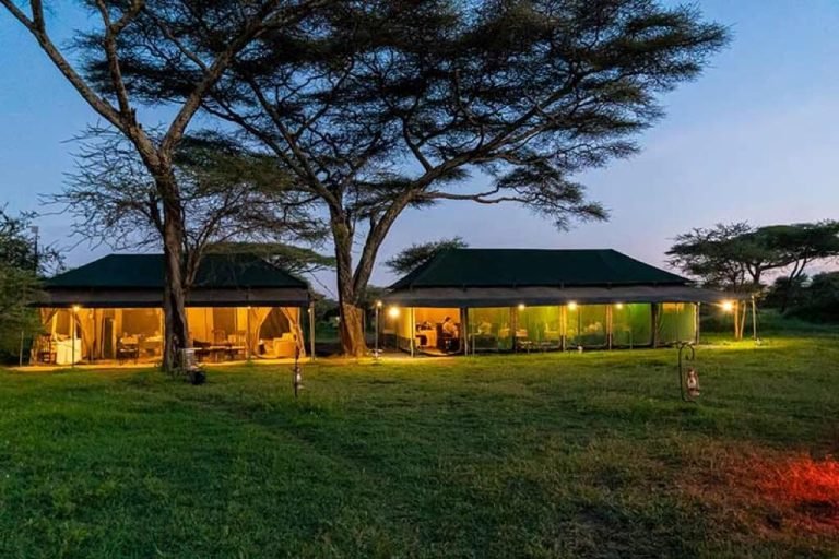 Ndutu Heritage Camp