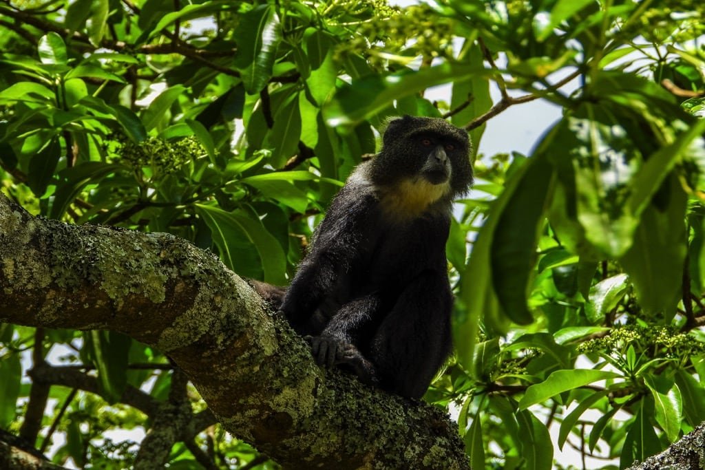 2 days safari – Choose Your Park
