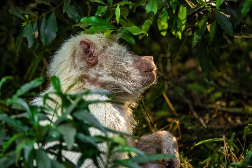 2 days safari – Choose Your Park