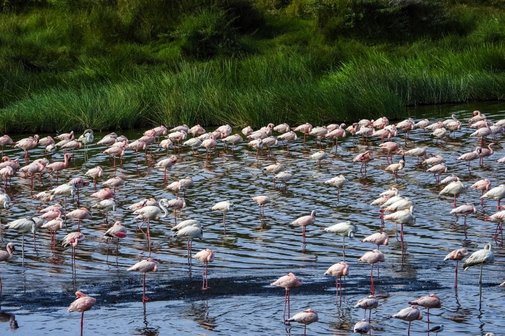 3 Days Safari – Choose Your Park + Ngorongoro Crater