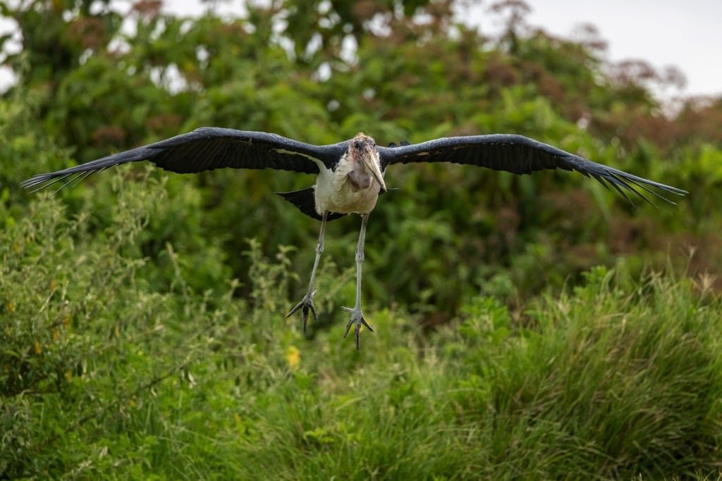Ngorongoro Crater