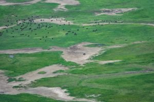 Ngorongoro Crater