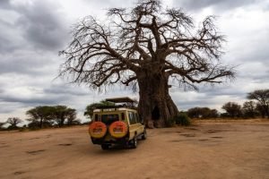Tarangire National Park