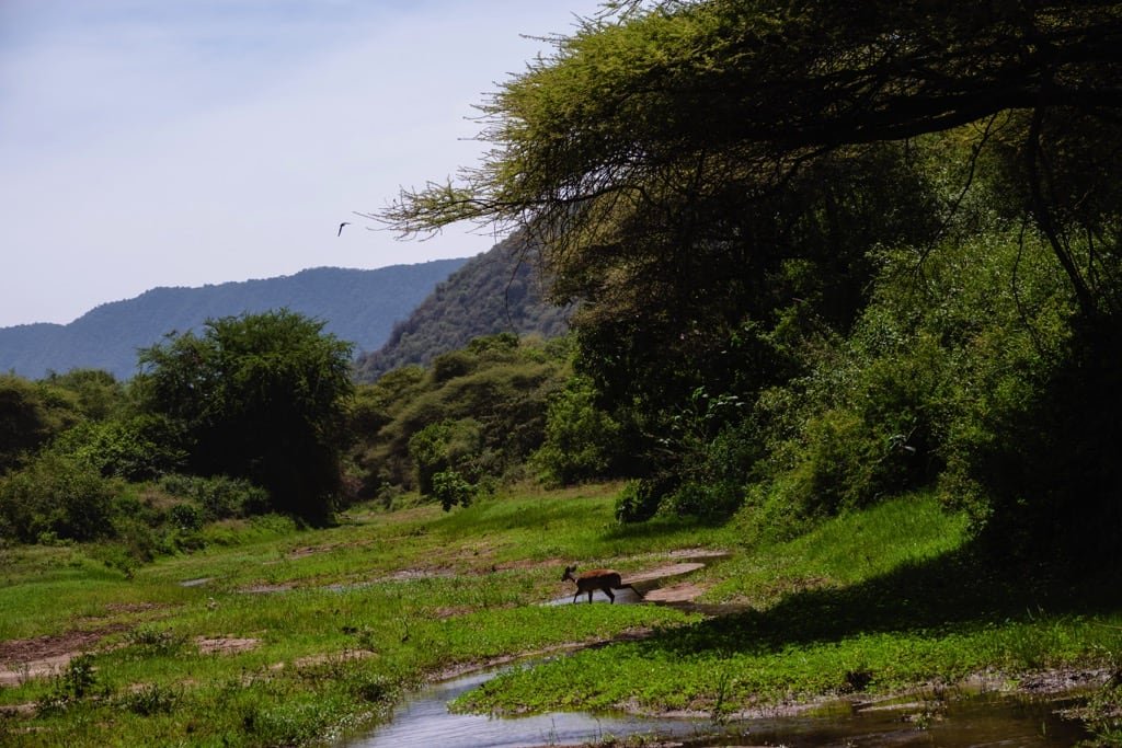 4 Days Safari – Great Ngorongoro Crater