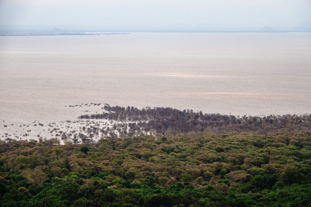 7 days - Baobab Safari