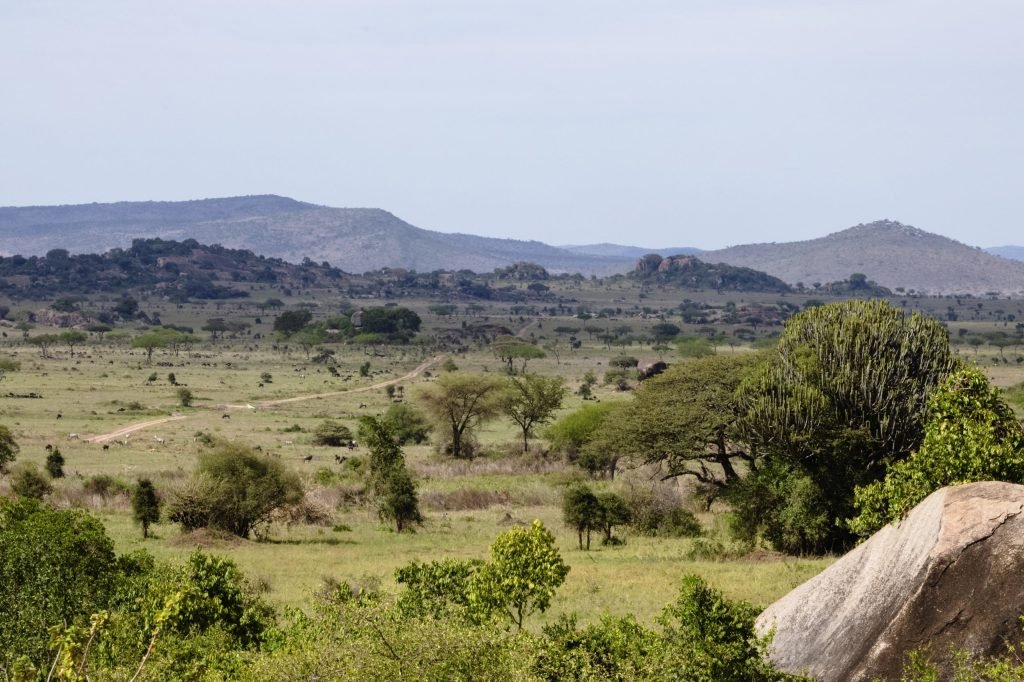 4 Days - Serengeti Safari