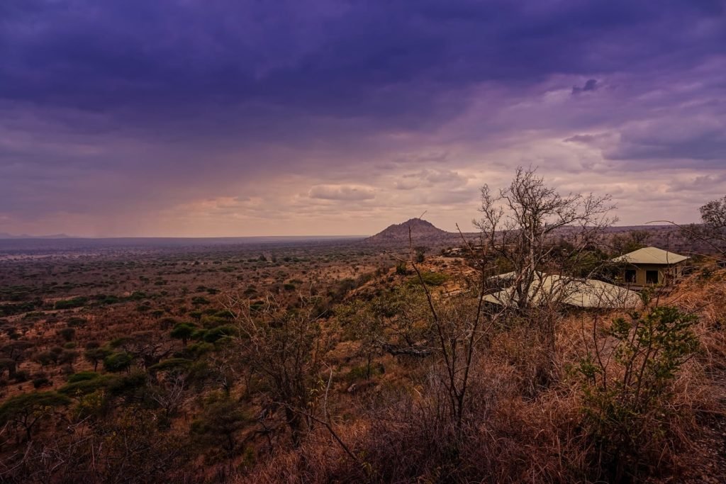 Values Of Timon Safaris