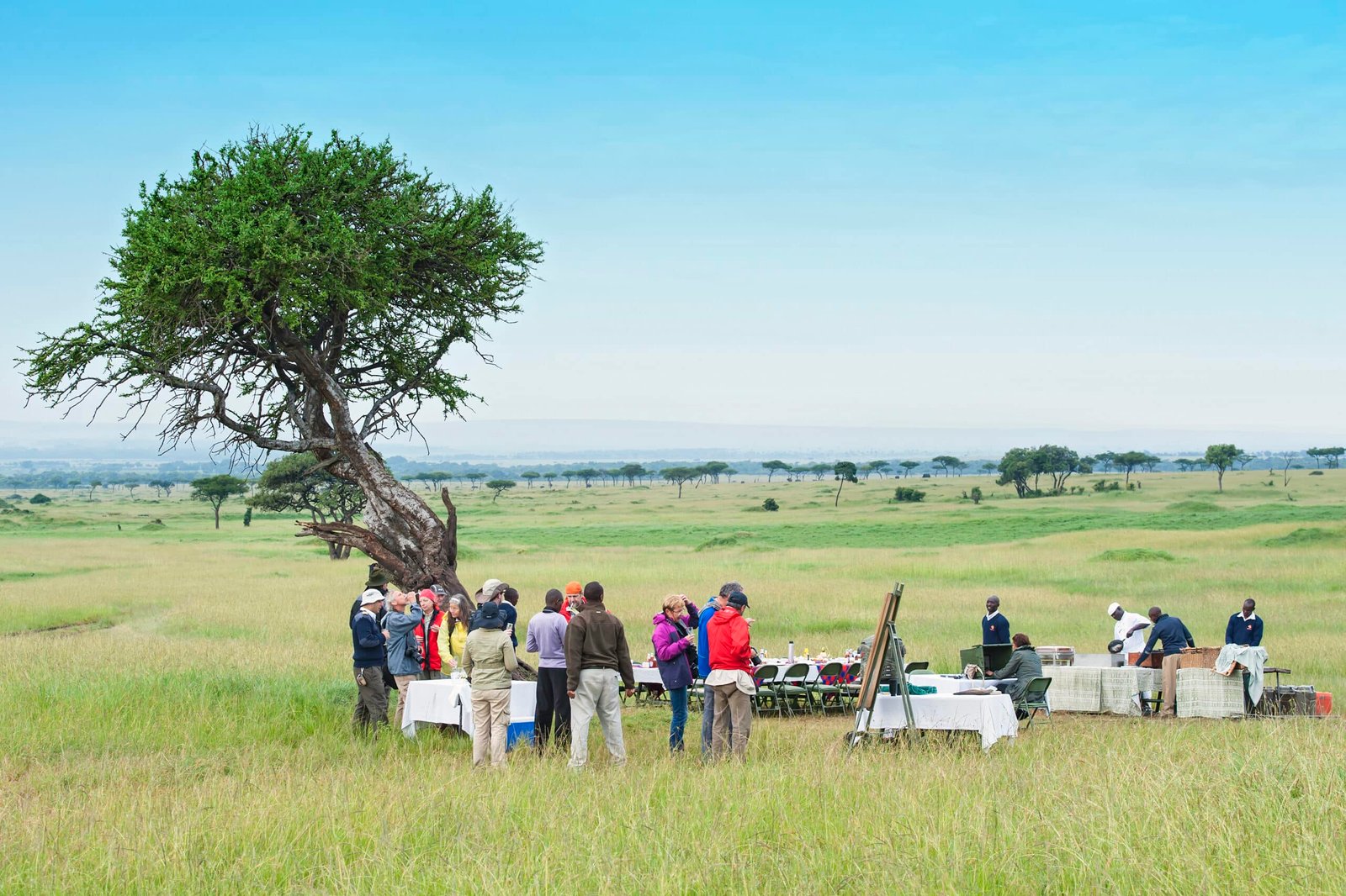 tarangire lunch1