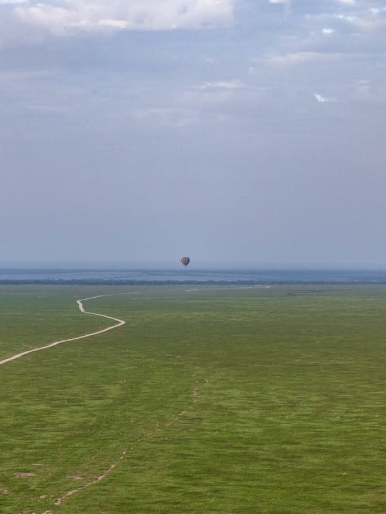 Hot Air Balloon Safari