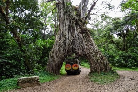 Arusha National Park