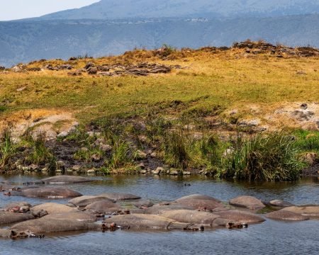 Ngorongoro Crater, Craterul Ngorongoro, Cratère du Ngorongoro