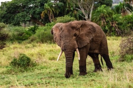 Serengeti National Park