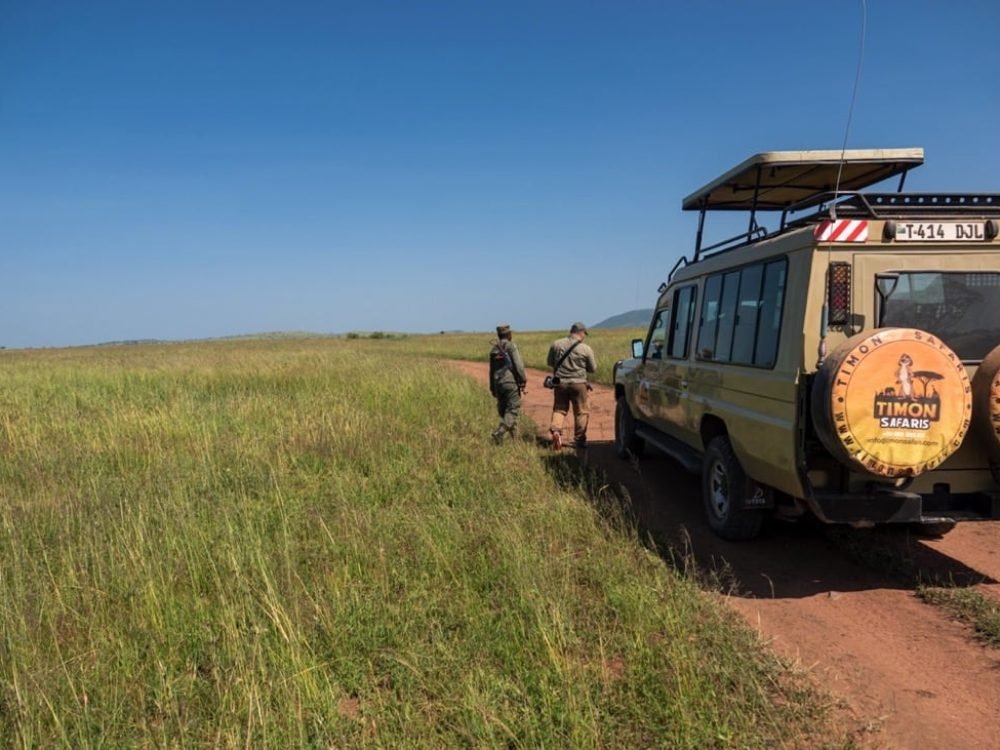 Walking Safari